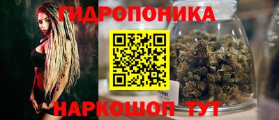 ГАЛЛЮЦИНОГЕННЫЕ ГРИБЫ Кулебаки