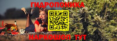 ГАЛЛЮЦИНОГЕННЫЕ ГРИБЫ Кулебаки