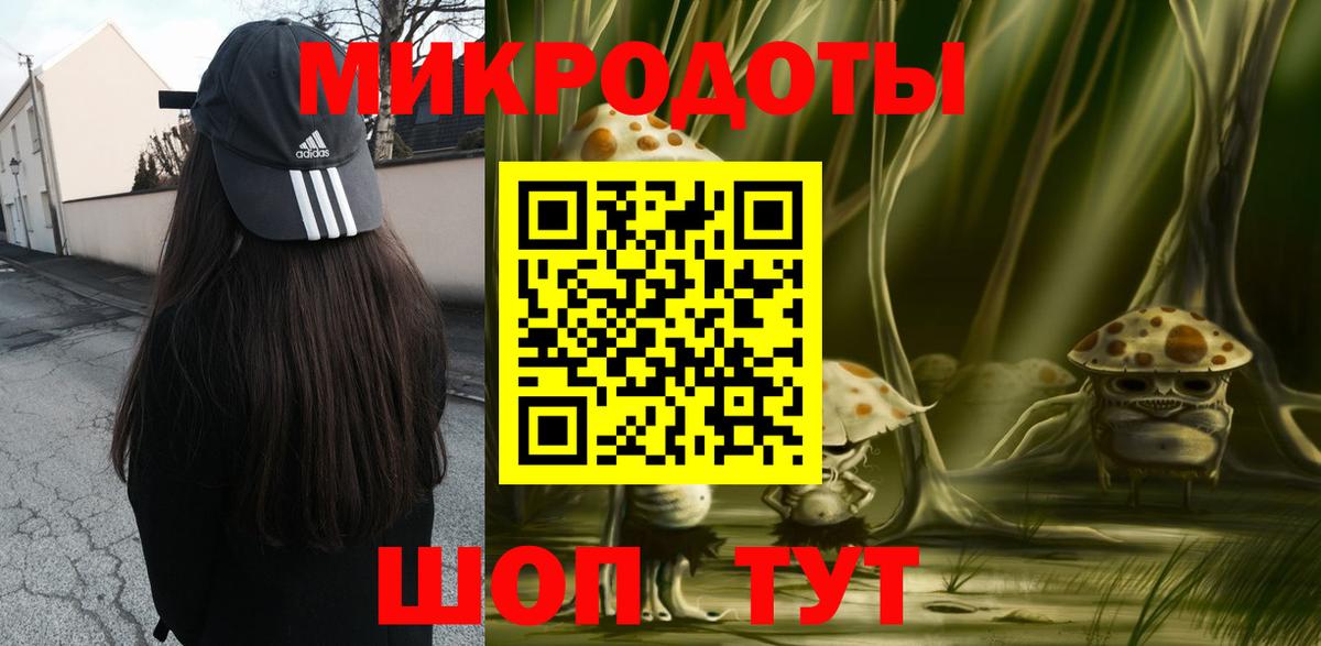 Кингисепп  Псилоцибиновые грибы Magic Shrooms  наркота  Вход с VPN 